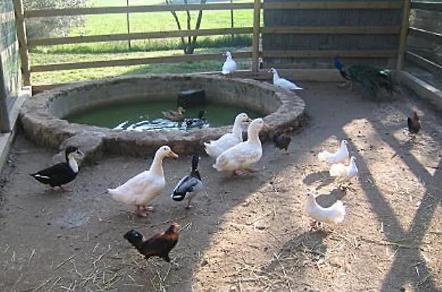 Mas Fuselles Villa Cornellá de Terri Farmház